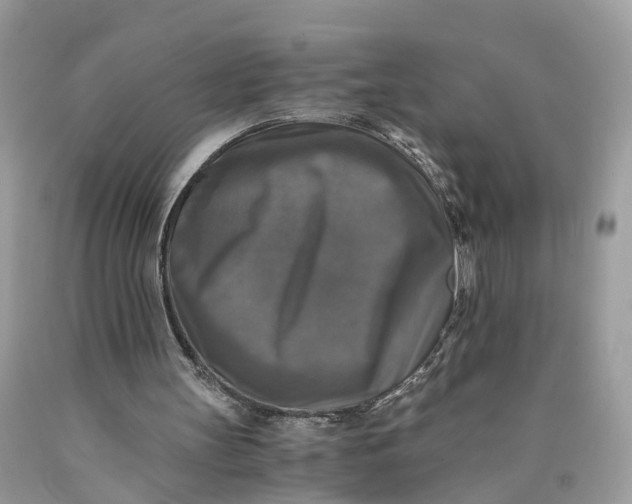 X0000089920147200707201825