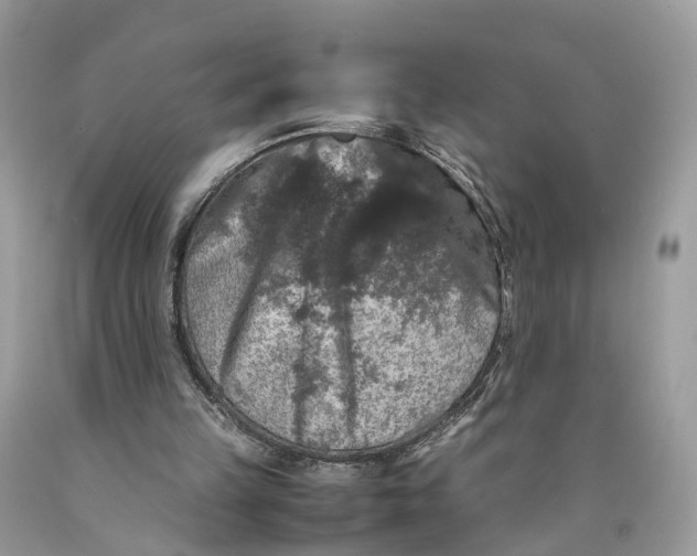 X0000089920149200707201825