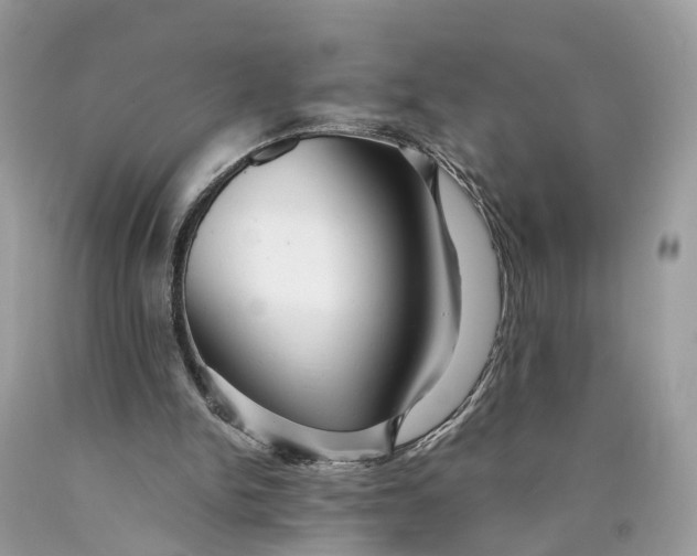 X0000089920150200707201826