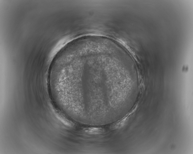 X0000089920151200707201826