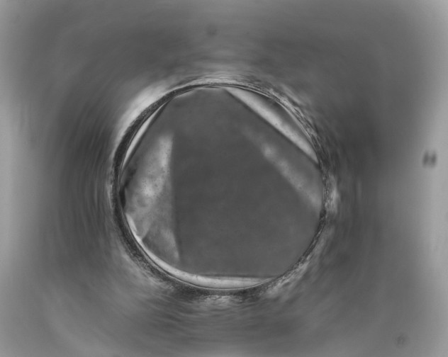 X0000089920152200707201826