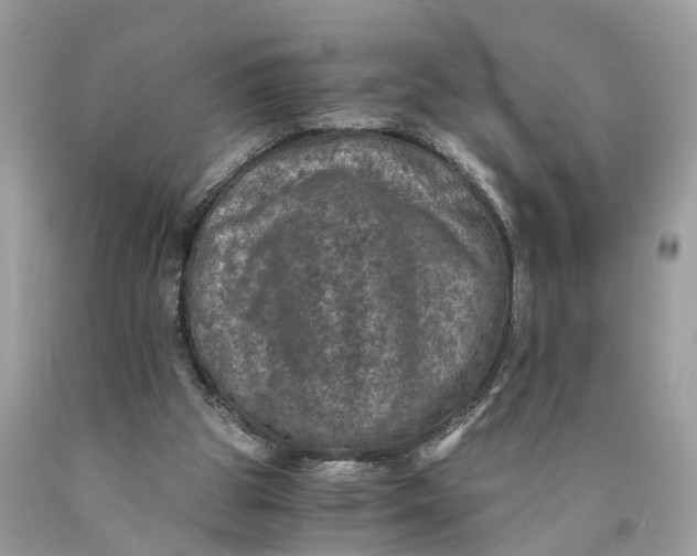 X0000089920153200707201826