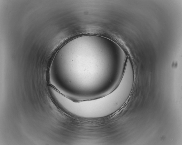 X0000089920154200707201826