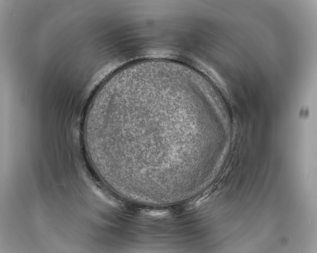 X0000089920155200707201826