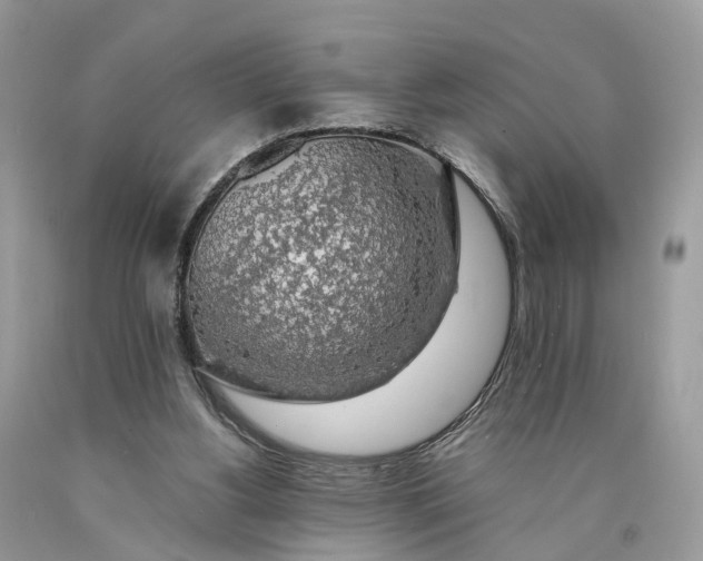 X0000089920156200707201826