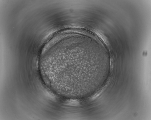 X0000089920157200707201826