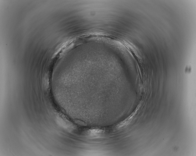 X0000089920158200707201826