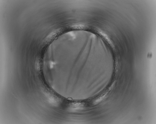 X0000089920161200707201826