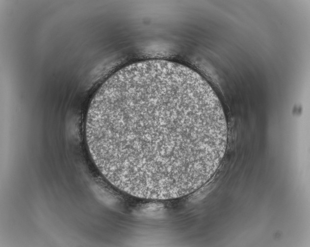 X0000089920162200707201826