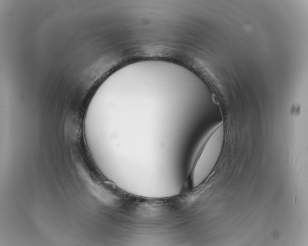 X0000089920164200707201826