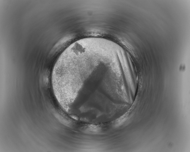 X0000089920166200707201826