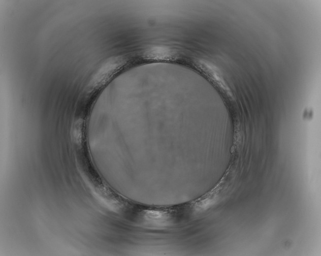 X0000089920167200707201826