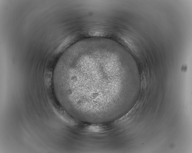 X0000089920171200707201826