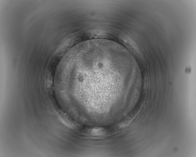 X0000089920173200707201826