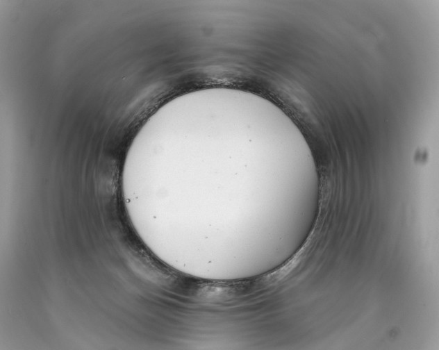 X0000089920174200707201826