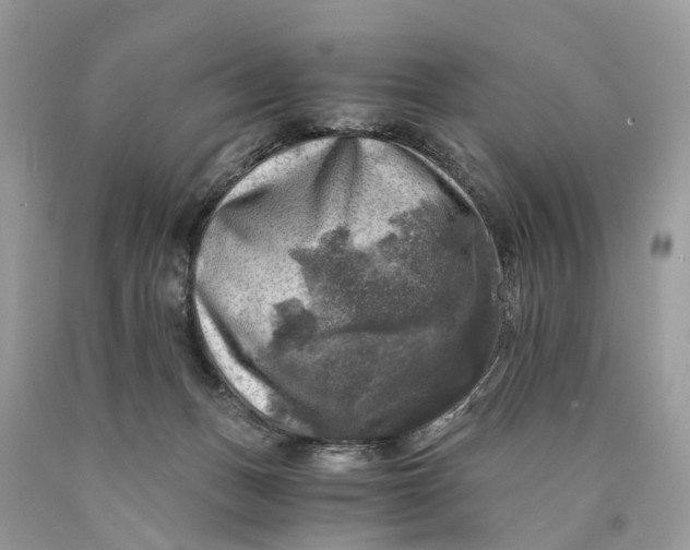 X0000089920175200707201826