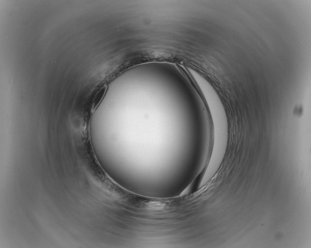 X0000089920176200707201826