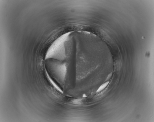 X0000089920178200707201826