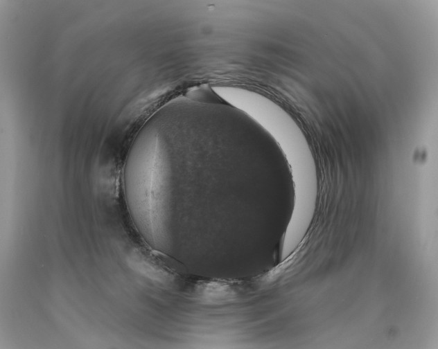 X0000089920180200707201826