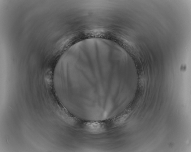 X0000089920181200707201826