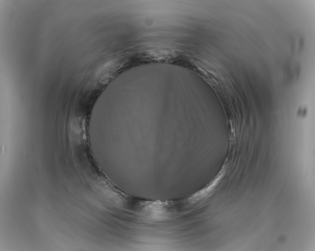 X0000089920182200707201826