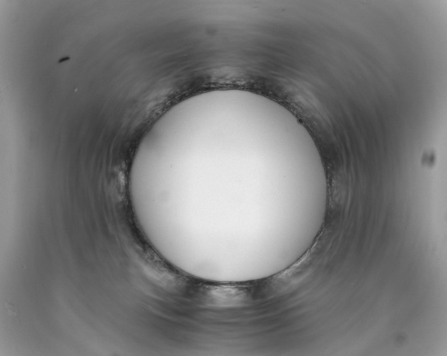 X0000089920183200707201826