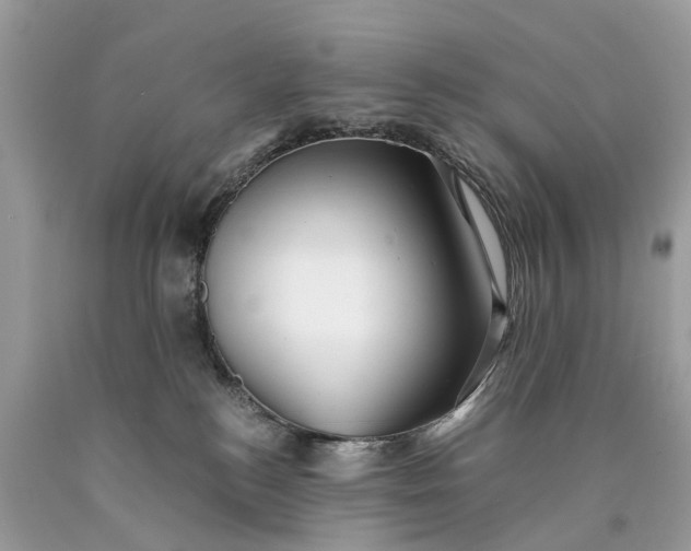 X0000089920184200707201826