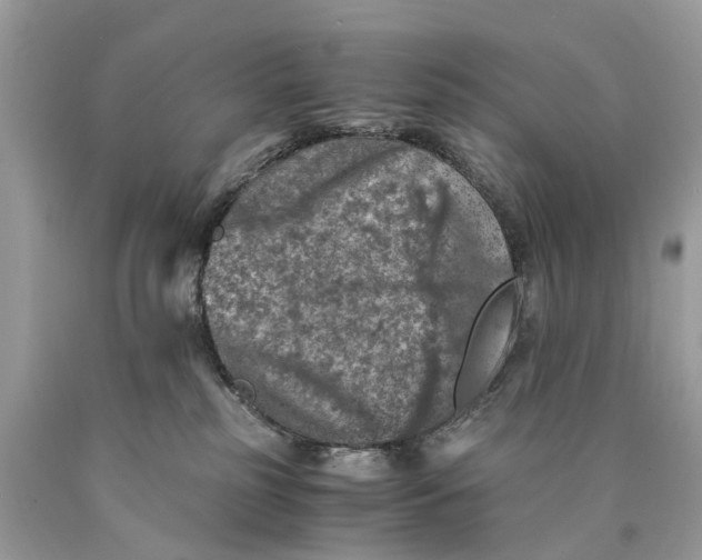 X0000089920185200707201826