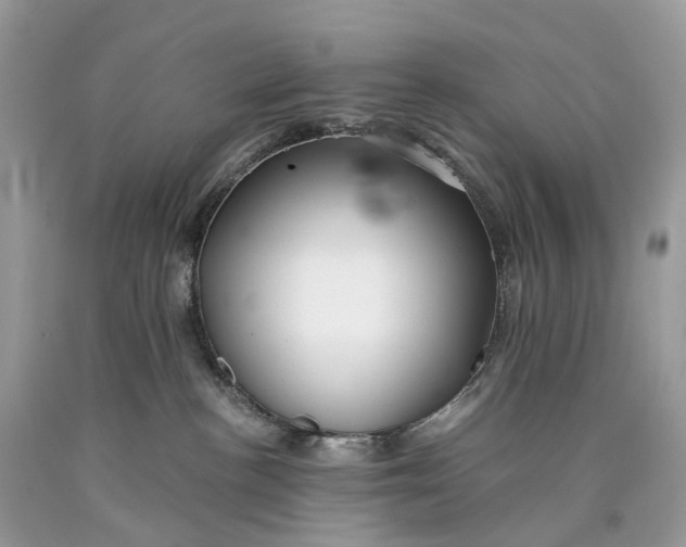 X0000089920188200707201826