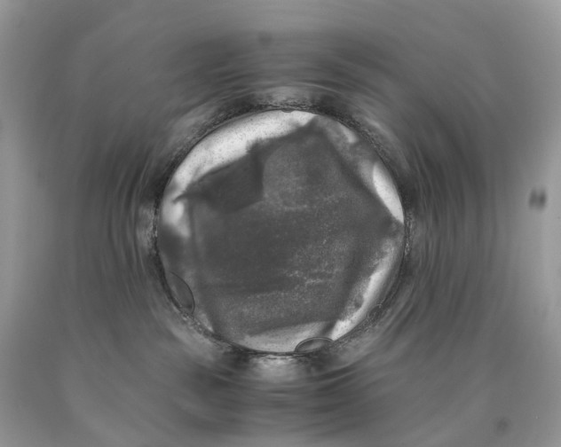 X0000089920189200707201826