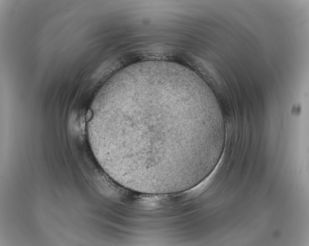 X0000089920190200707201826