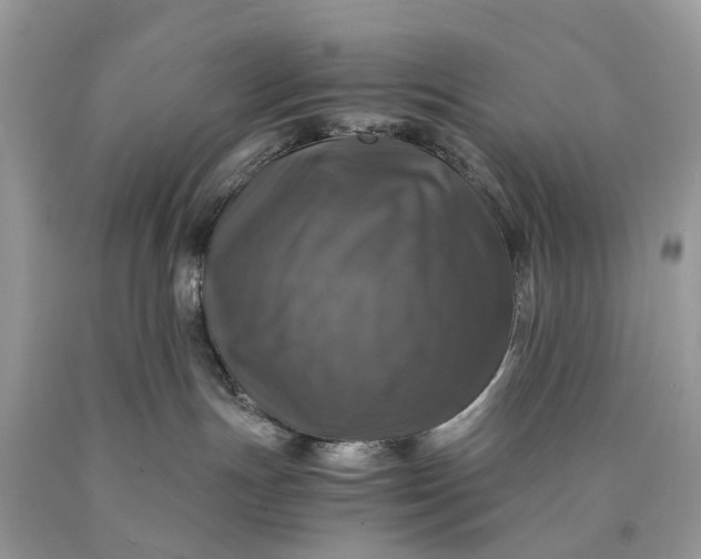 X0000089920191200707201826