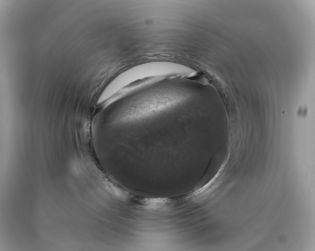 X0000089920192200707201826