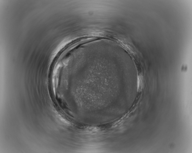 X0000089920195200707201825