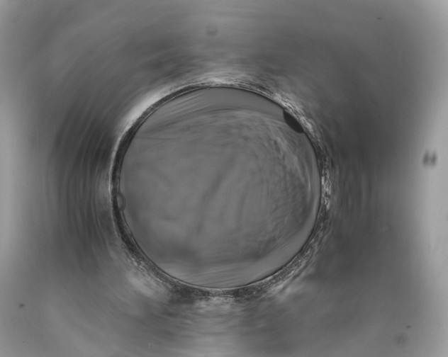 X0000089920196200707201825