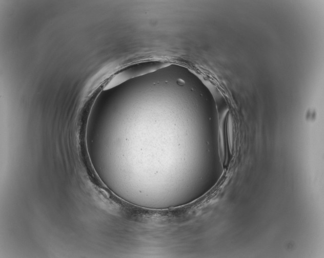 X0000089920197200707201825