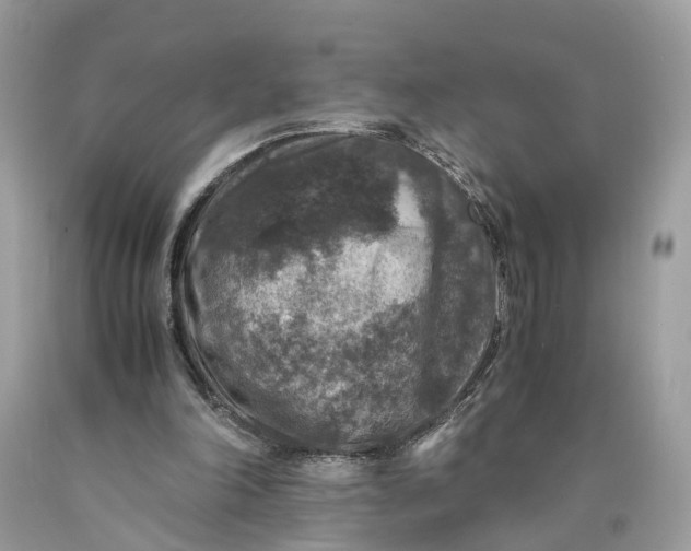 X0000089920198200707201825