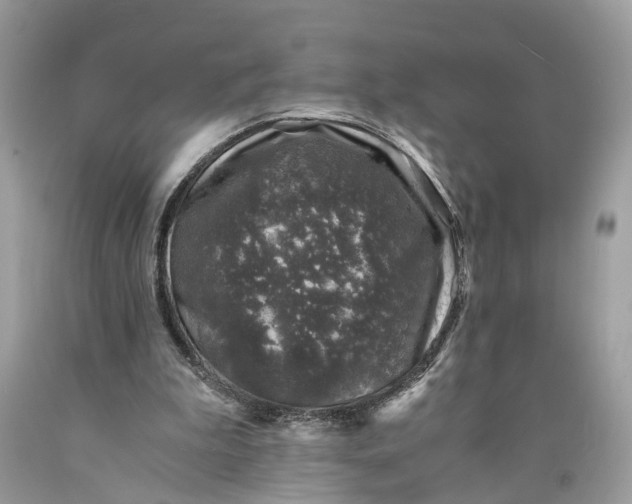 X0000089920199200707201825