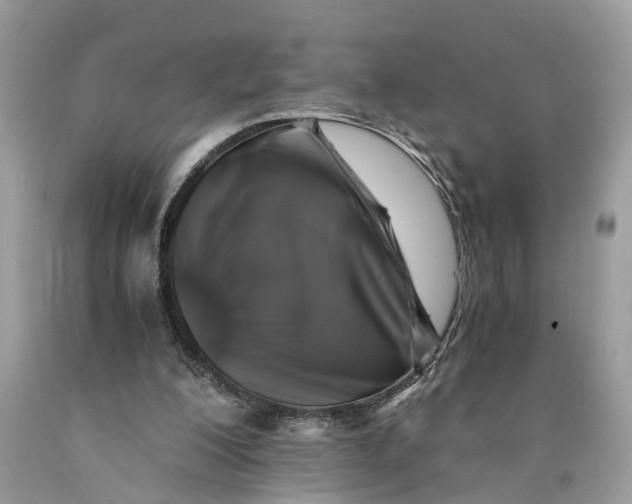 X0000089920200200707201825