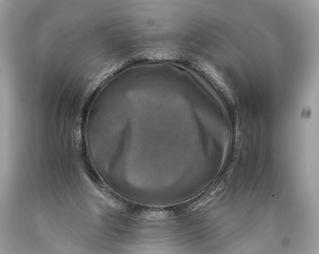 X0000089920202200707201825