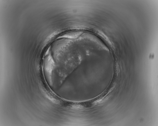 X0000089920203200707201825