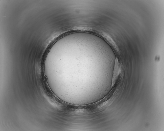 X0000089920204200707201825