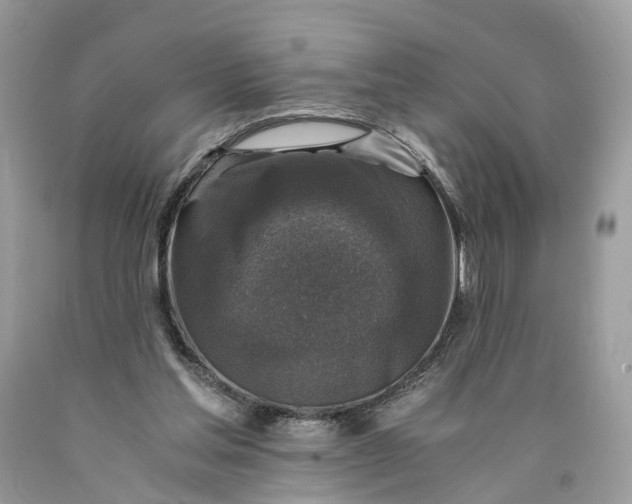 X0000089920205200707201825