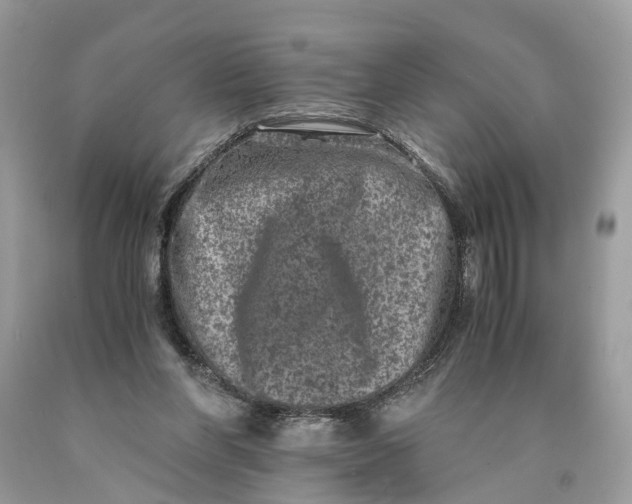 X0000089920206200707201825