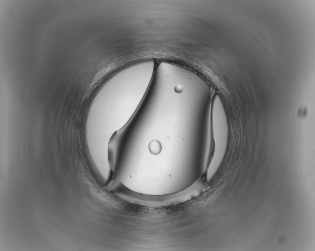 X0000089920207200707201825