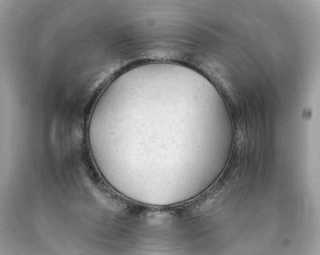 X0000089920208200707201825