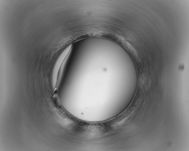 X0000089920209200707201825