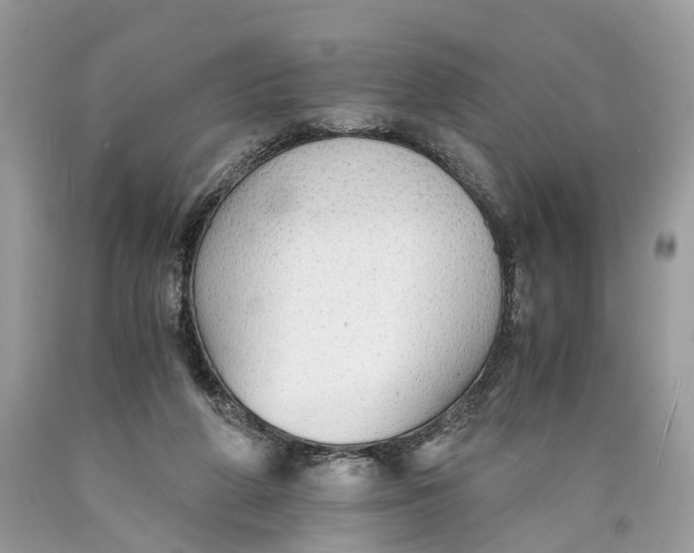 X0000089920210200707201825