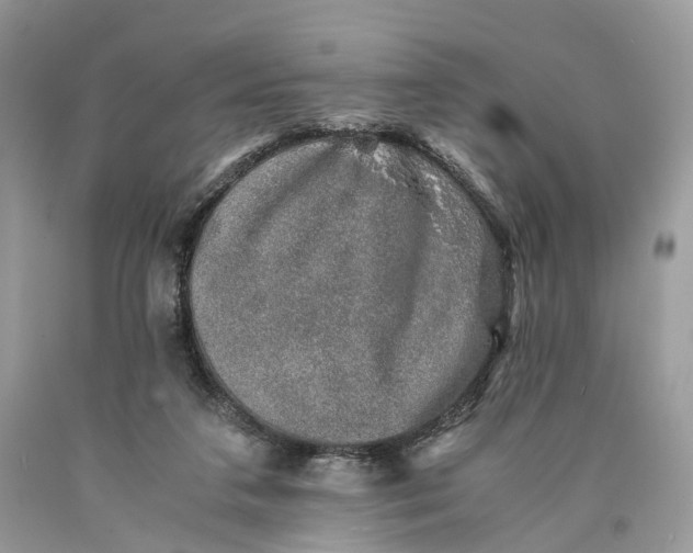 X0000089920211200707201825