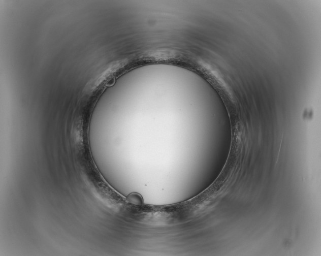 X0000089920212200707201825